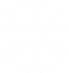 NBS Symbol logo